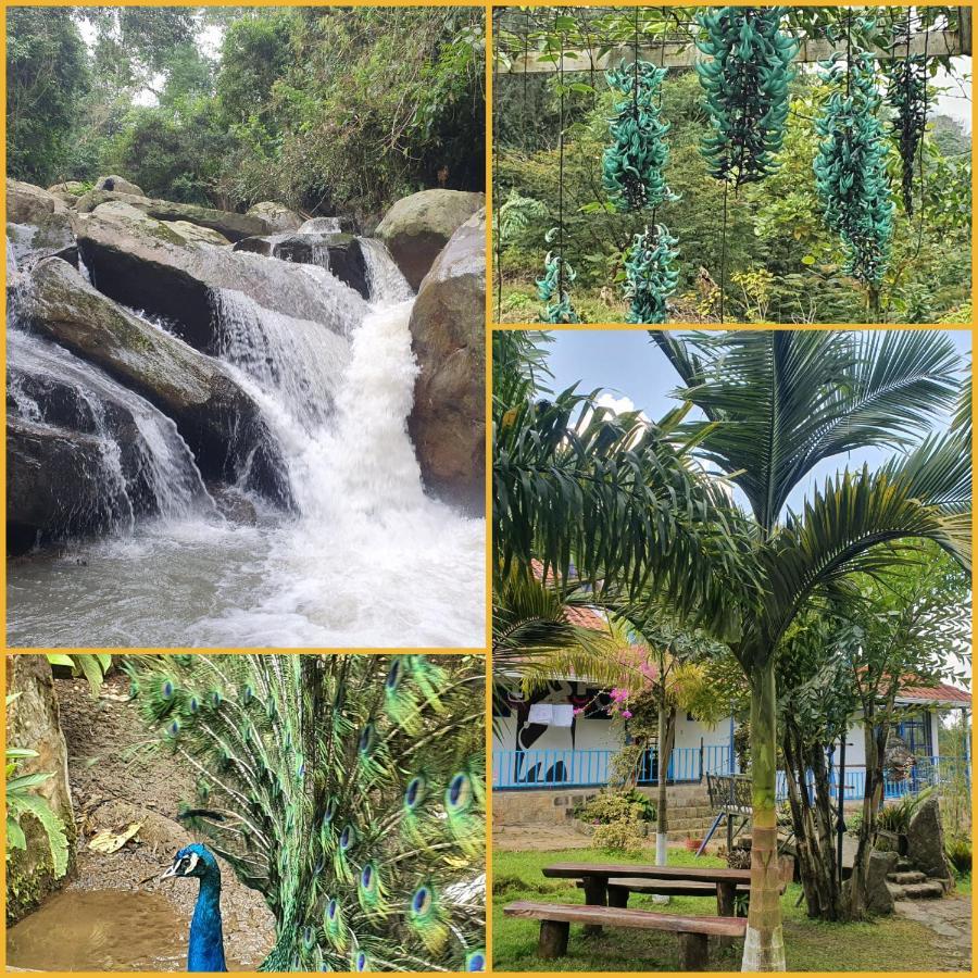 Finca Jardin Del Agua Sasaima Bagian luar foto