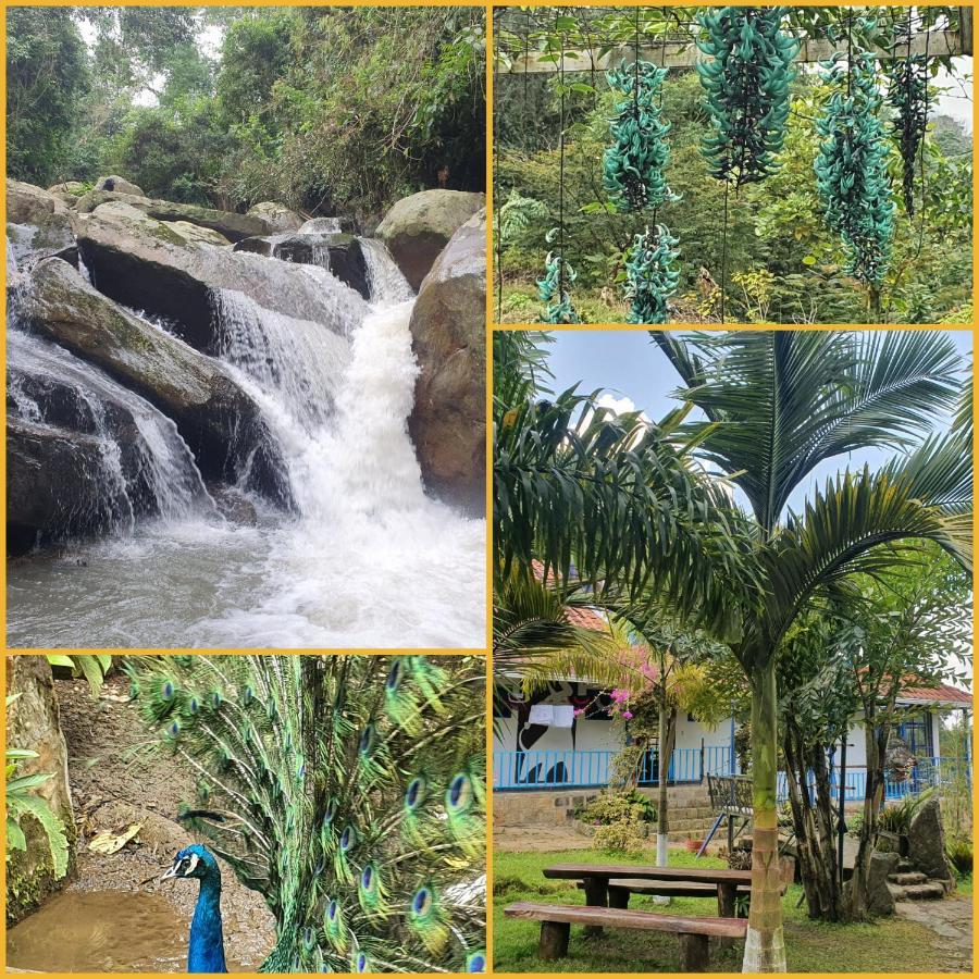 Finca Jardin Del Agua Villa Sasaima Bagian luar foto