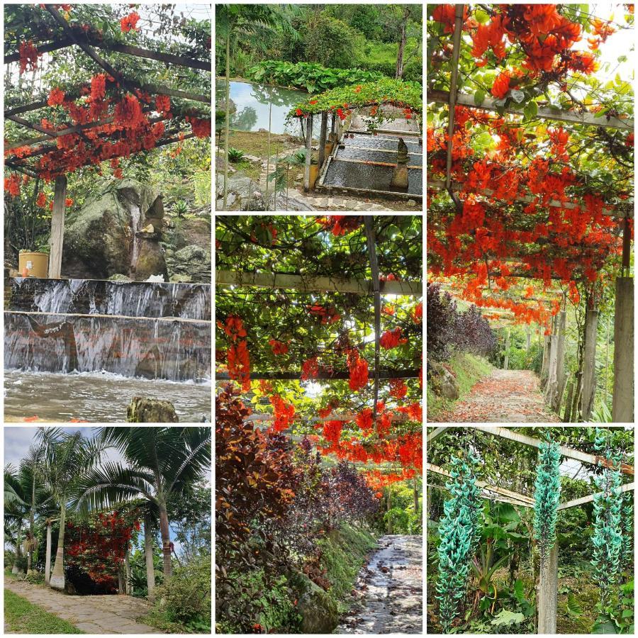 Finca Jardin Del Agua Sasaima Bagian luar foto