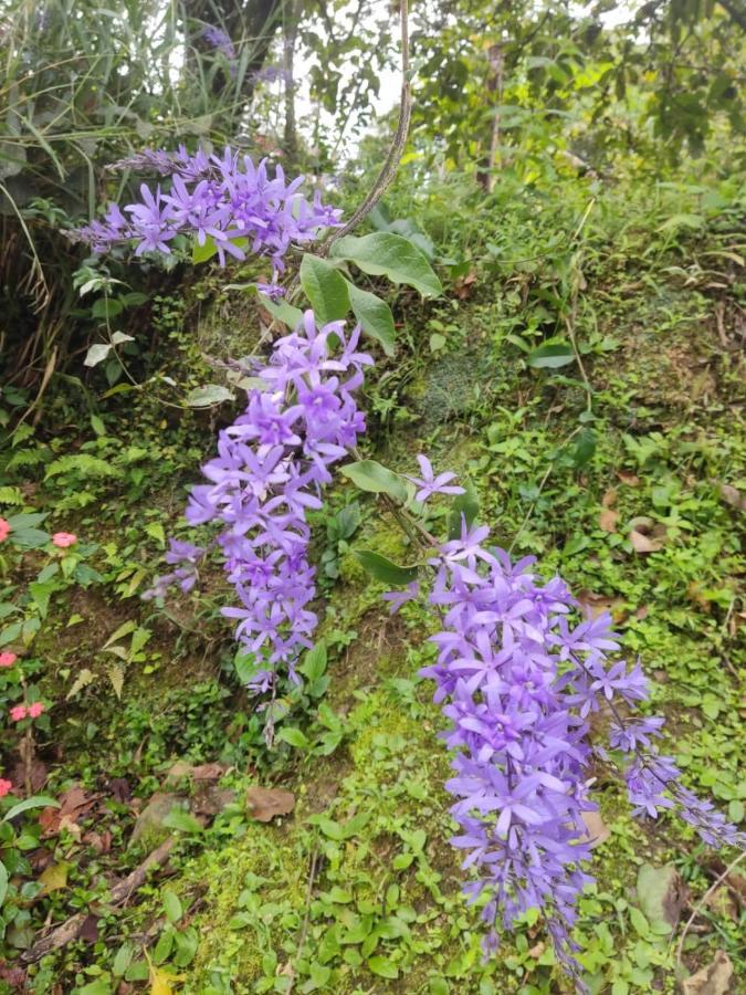 Finca Jardin Del Agua Sasaima Bagian luar foto