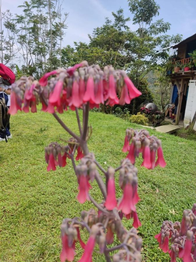 Finca Jardin Del Agua Sasaima Bagian luar foto