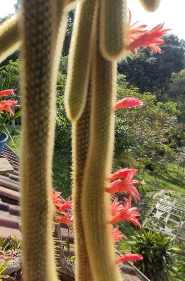 Finca Jardin Del Agua Sasaima Bagian luar foto
