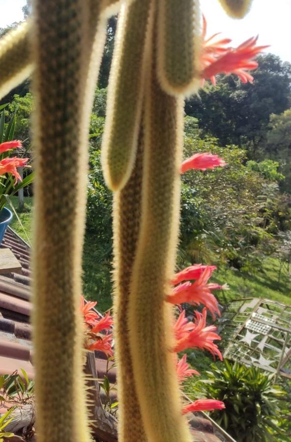 Finca Jardin Del Agua Villa Sasaima Bagian luar foto