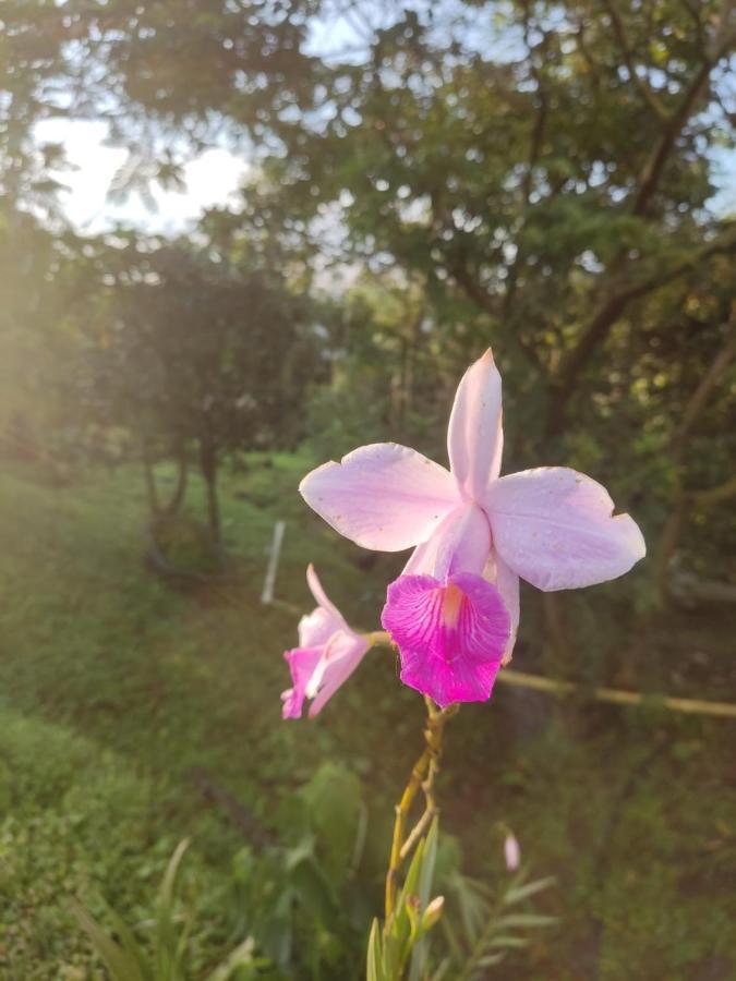 Finca Jardin Del Agua Sasaima Bagian luar foto