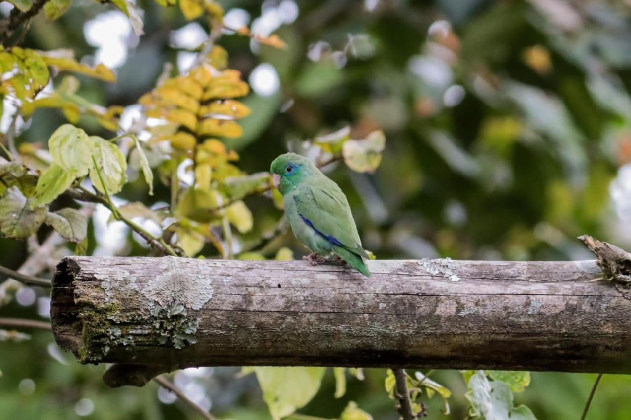 Finca Jardin Del Agua Sasaima Bagian luar foto