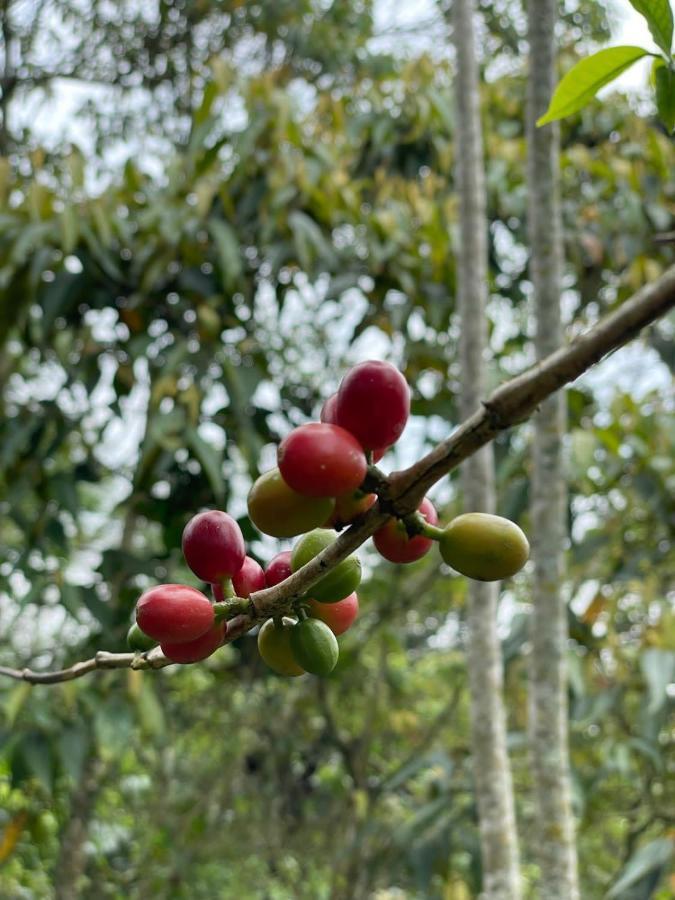 Finca Jardin Del Agua Villa Sasaima Bagian luar foto