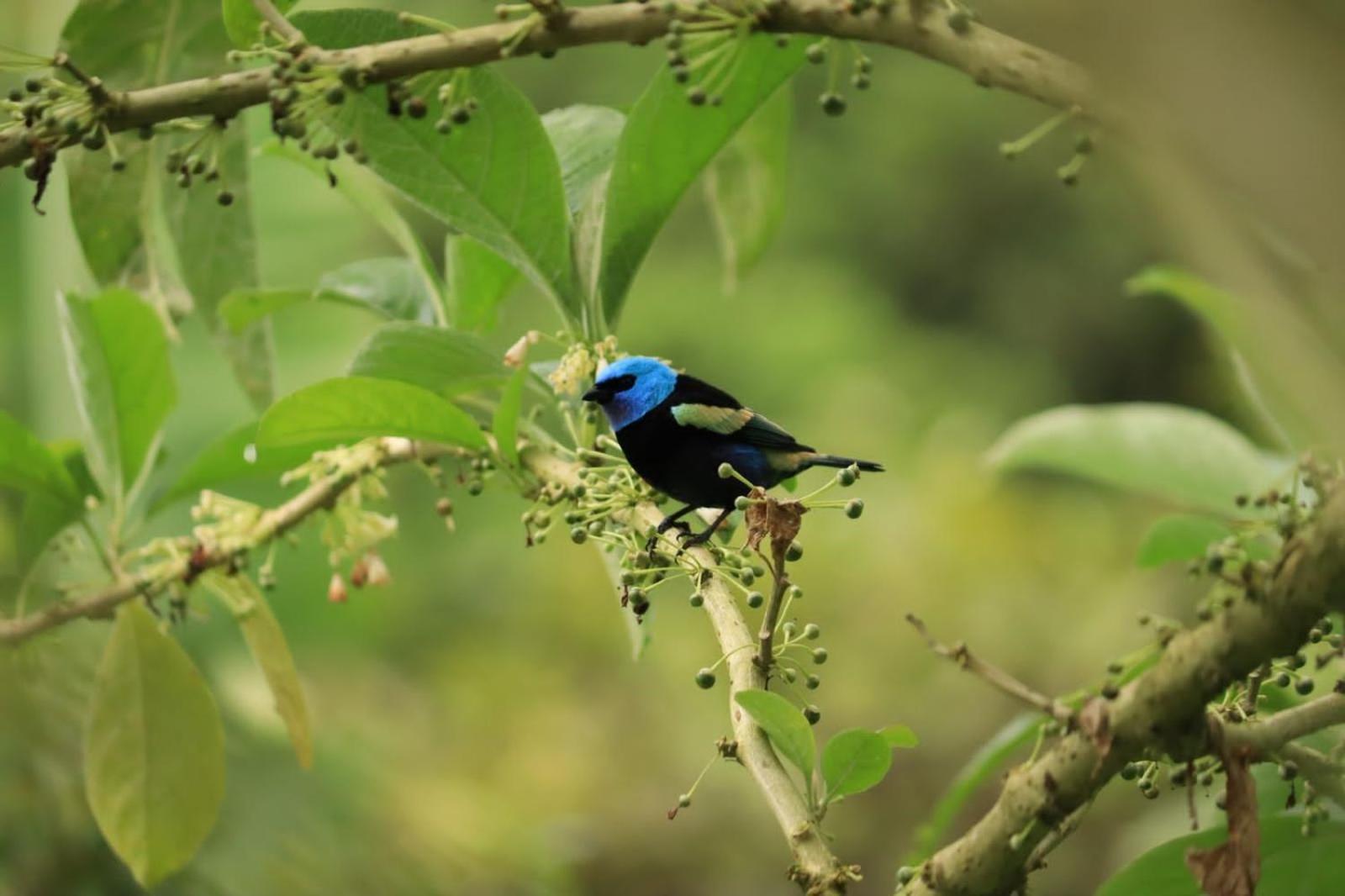 Finca Jardin Del Agua Sasaima Bagian luar foto