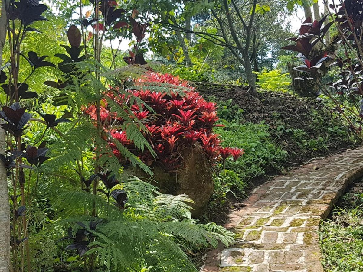 Finca Jardin Del Agua Villa Sasaima Bagian luar foto