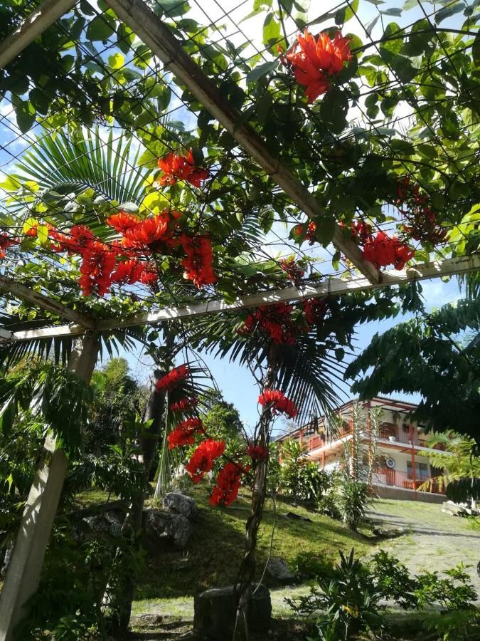 Finca Jardin Del Agua Villa Sasaima Bagian luar foto