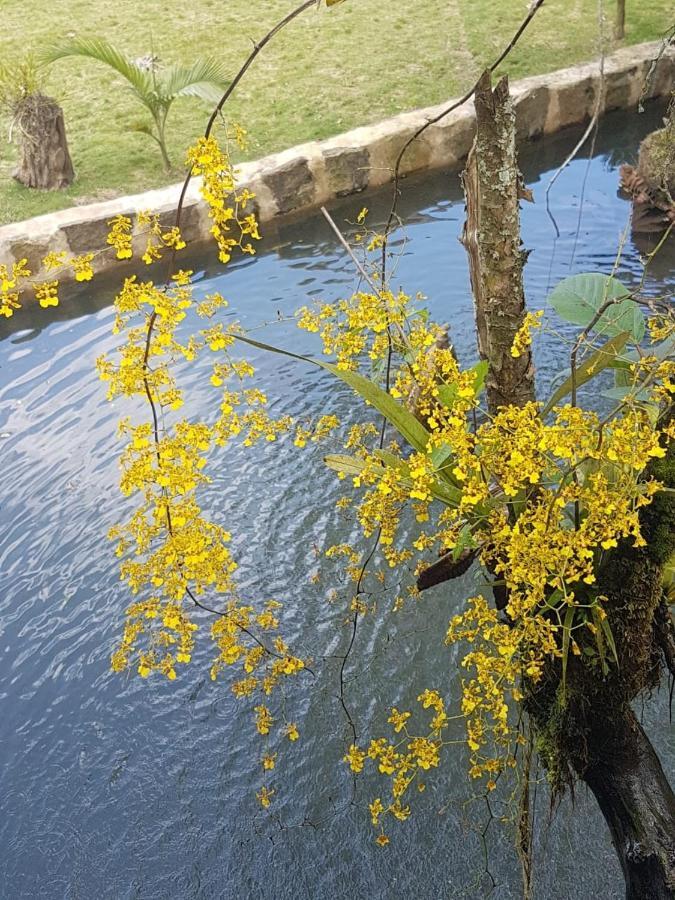 Finca Jardin Del Agua Sasaima Bagian luar foto