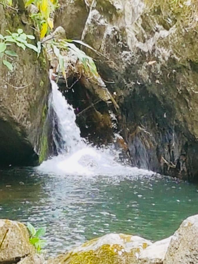 Finca Jardin Del Agua Sasaima Bagian luar foto