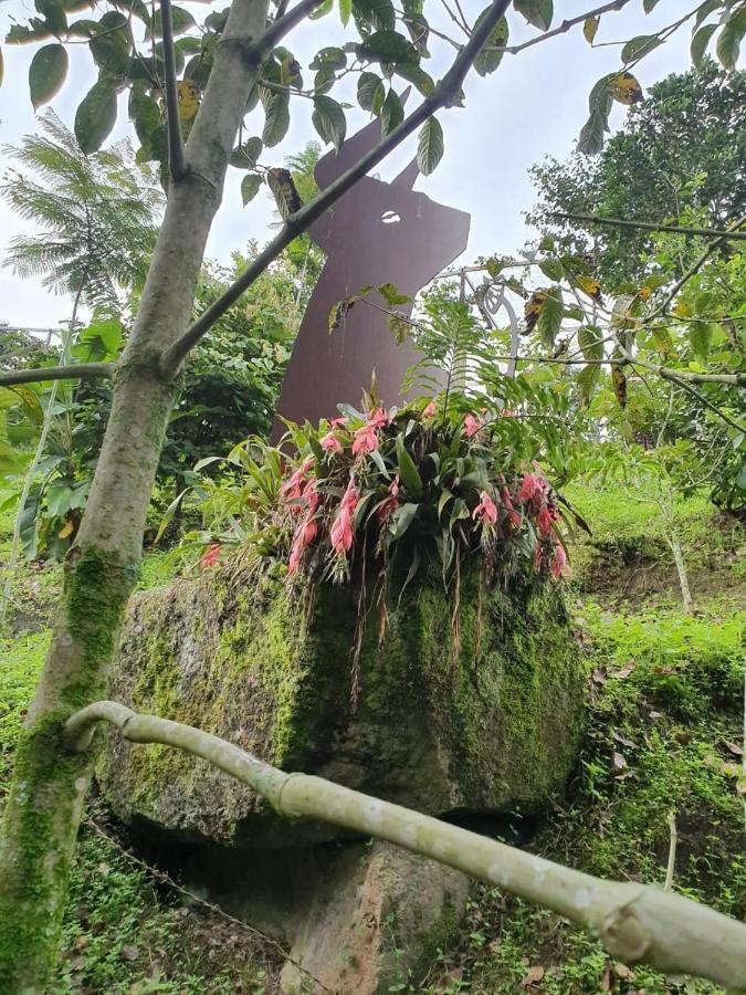 Finca Jardin Del Agua Villa Sasaima Bagian luar foto