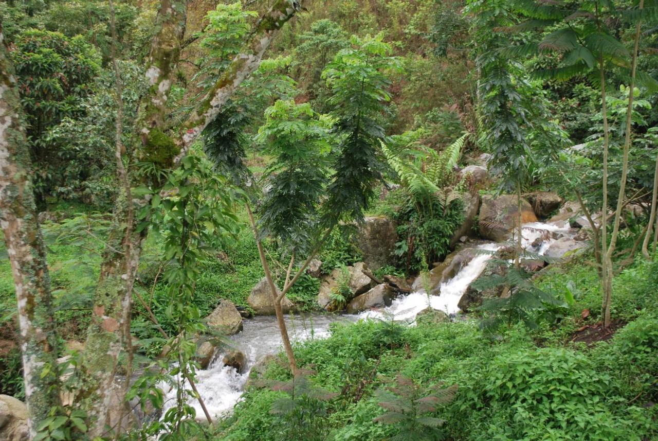 Finca Jardin Del Agua Sasaima Bagian luar foto