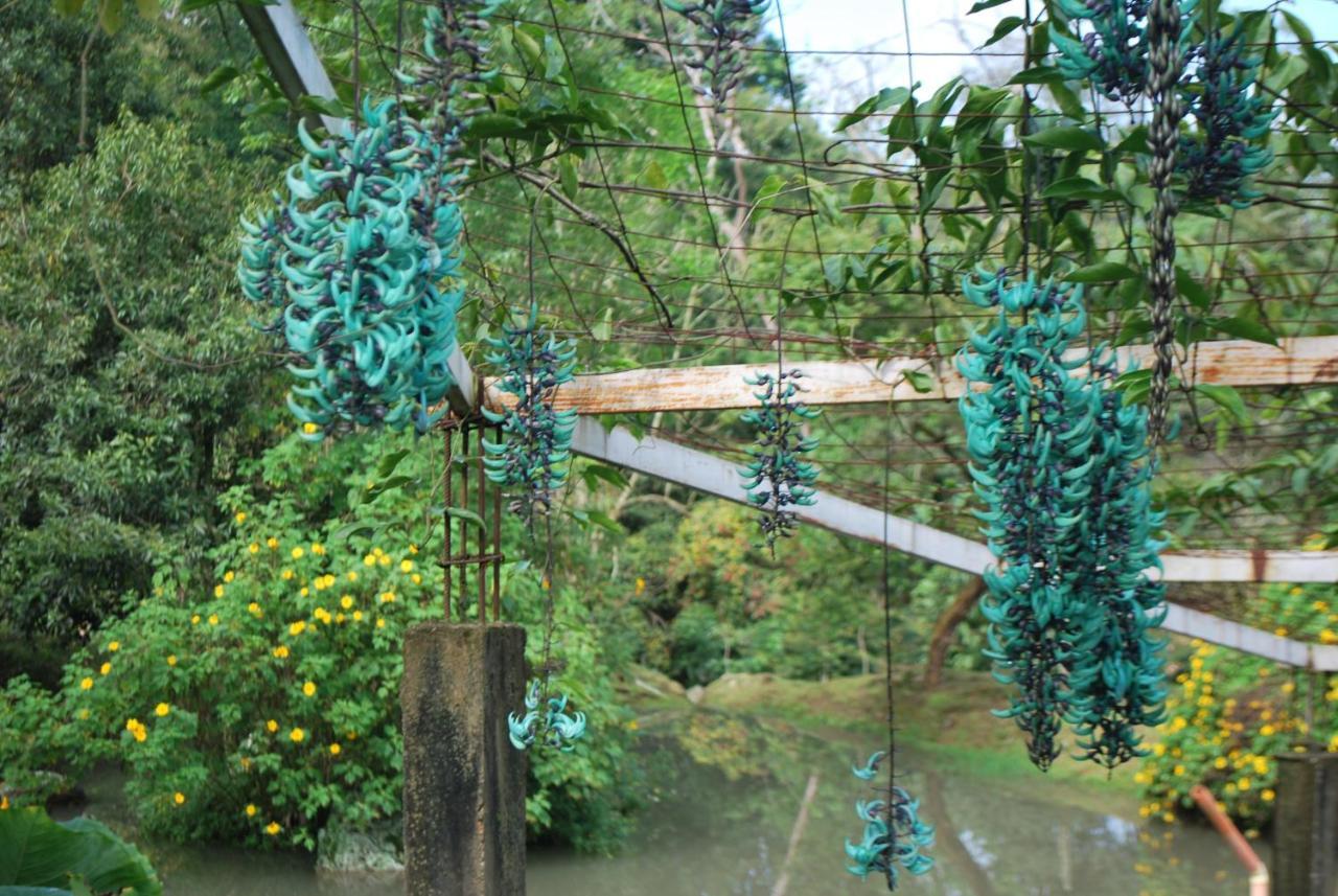 Finca Jardin Del Agua Sasaima Bagian luar foto