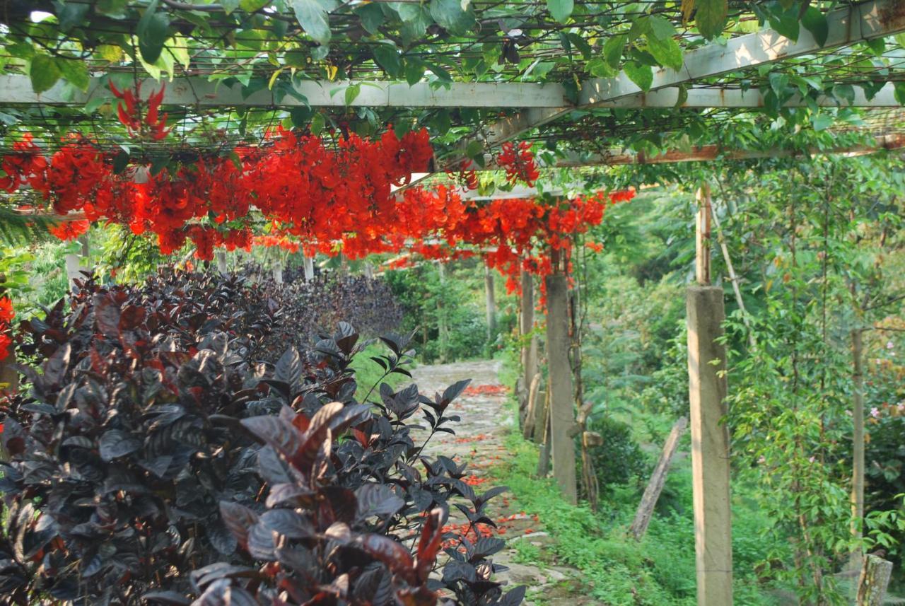 Finca Jardin Del Agua Villa Sasaima Bagian luar foto