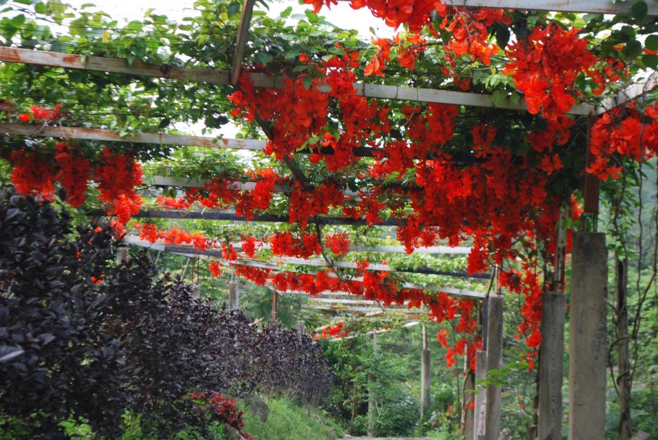 Finca Jardin Del Agua Sasaima Bagian luar foto