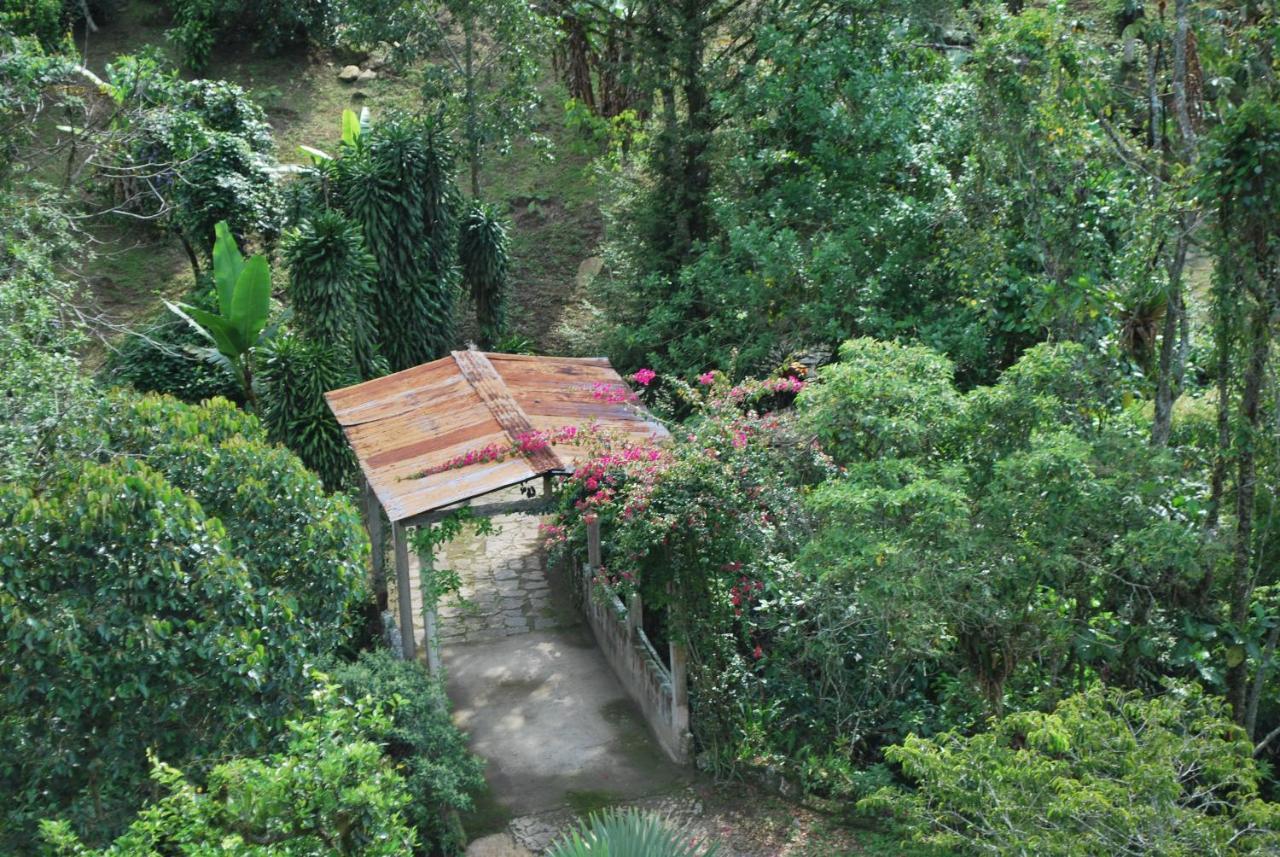 Finca Jardin Del Agua Sasaima Bagian luar foto