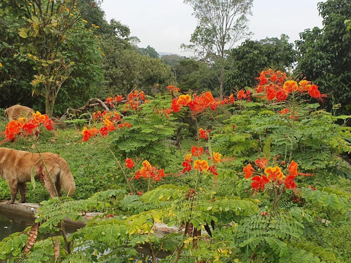 Finca Jardin Del Agua Villa Sasaima Bagian luar foto